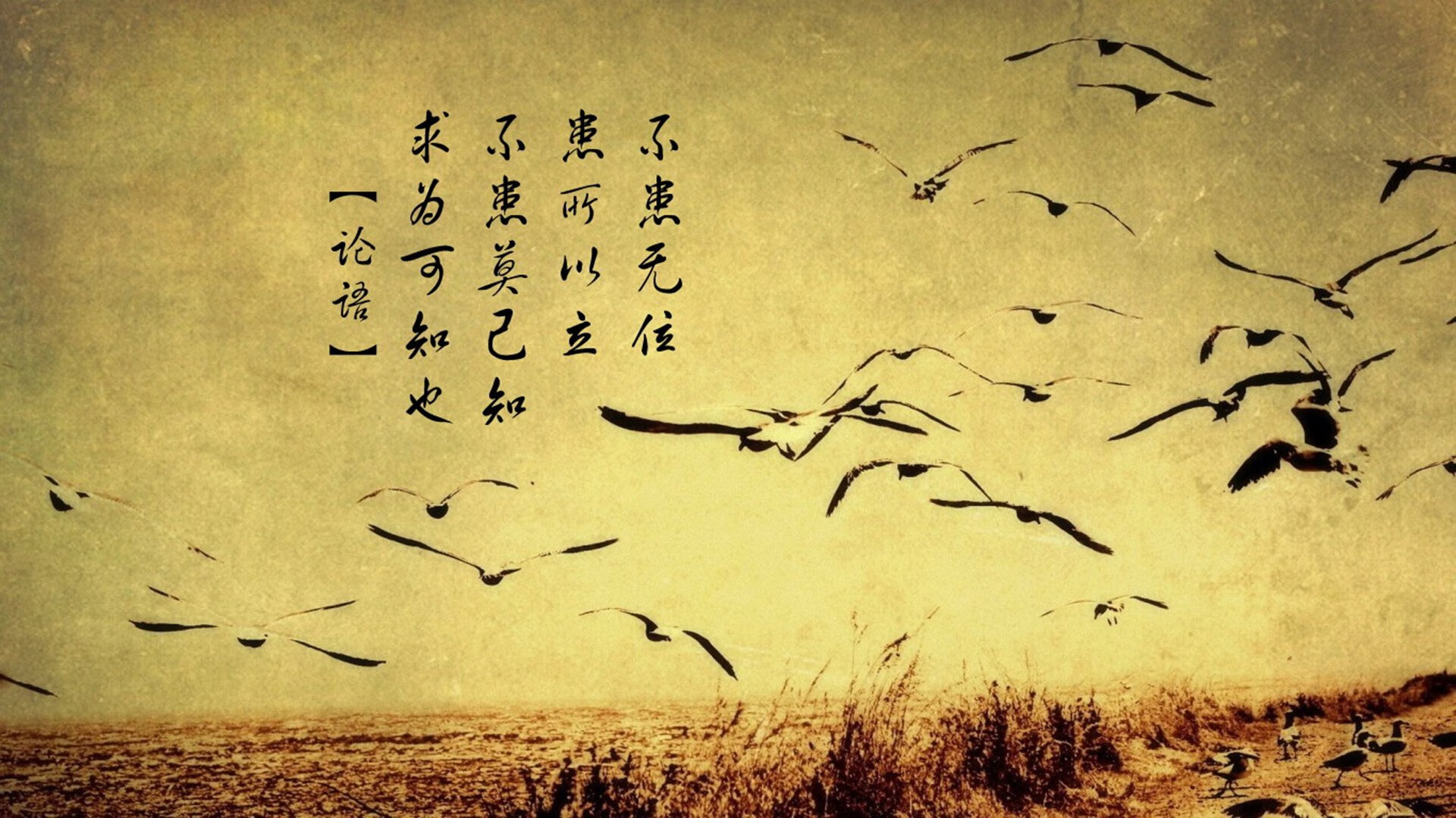 “武汉马拉松:纪录突破的时刻即将来临”