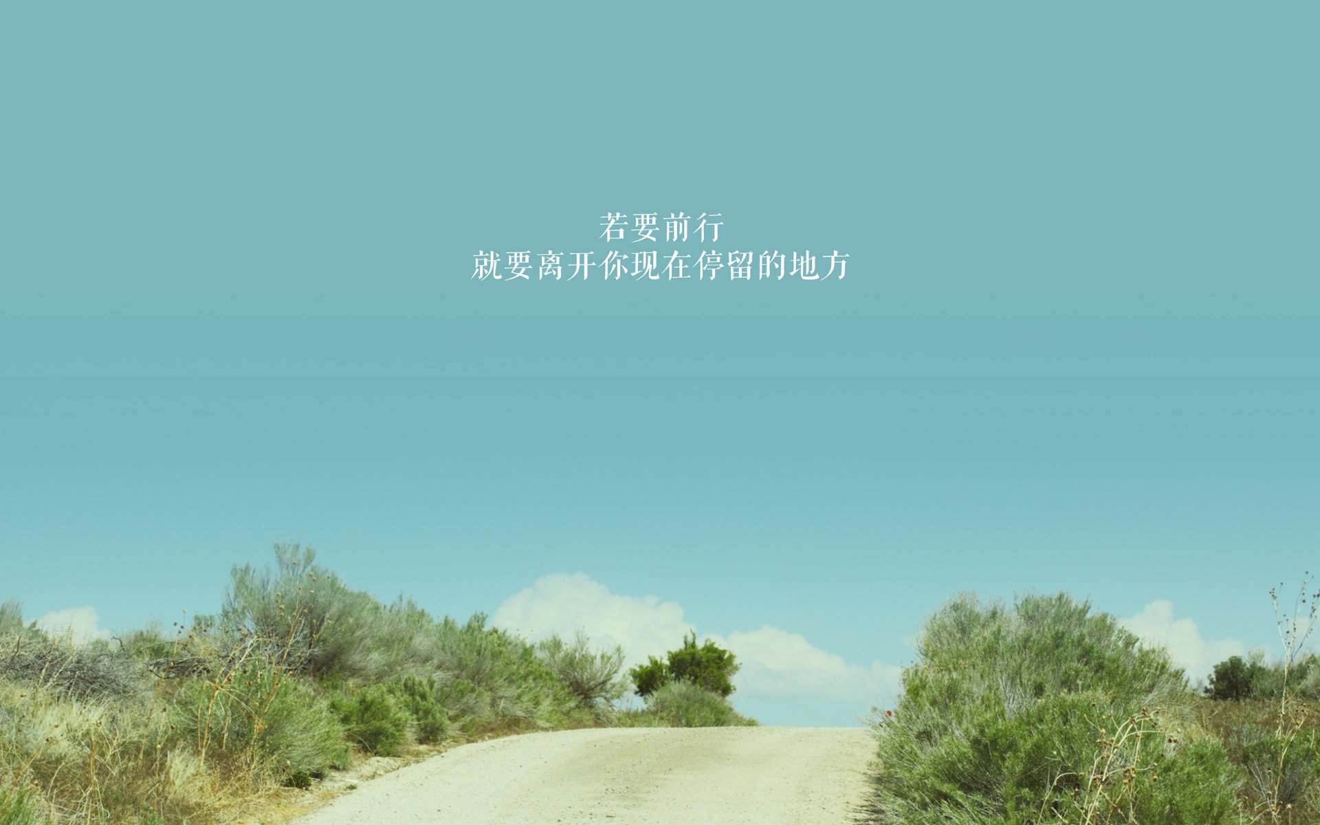 体育社交平台对青少年运动持续性的影响路径研究，体育社交功能
